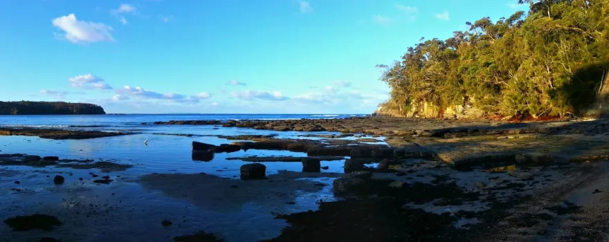 Gondwana Coast Fossil Walk