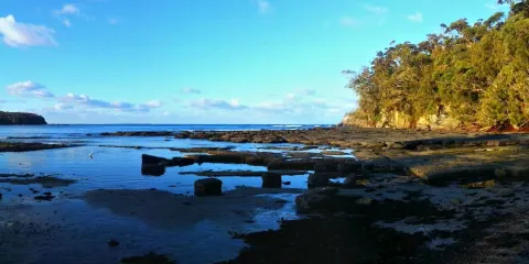 Gondwana Coast Fossil Walk