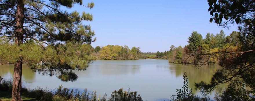 A.W. Campbell Conservation Area