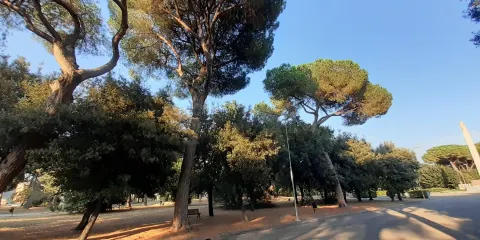 Parco Falcone-Borsellino