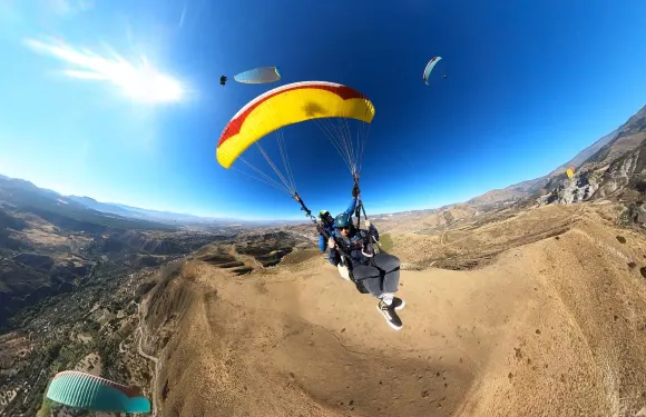 塞內斯·德拉維加