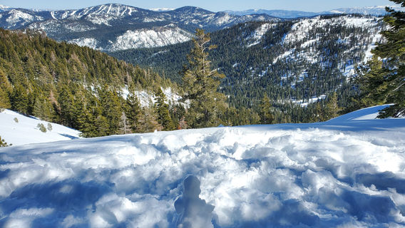 Coldstream Adventures