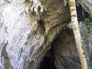 Cueva Cullalvera