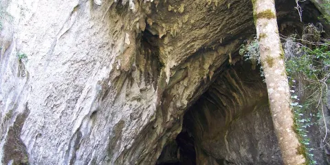 Cueva Cullalvera
