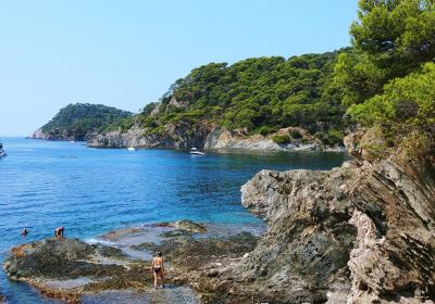 Sentier du Littoral de la Presqu'ile de Giens