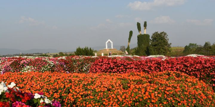 Flora Park