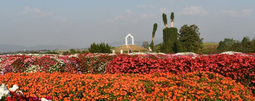 Flora Park