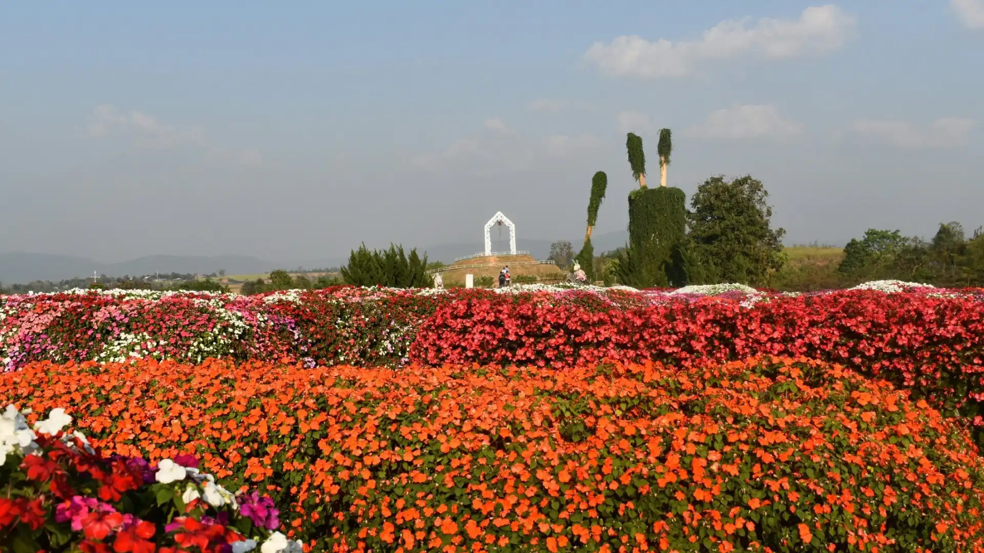 โรงแรมใกล้Flora Park