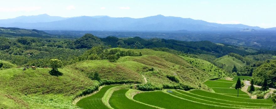 Ogi Terraced Rice Fields