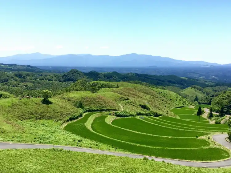 Ubuyama