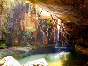 Black pool