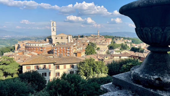 Carducci Gardens