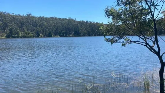 Cosgrave Reservoir