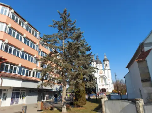 Catedrala Sfântul Apostol Andrei