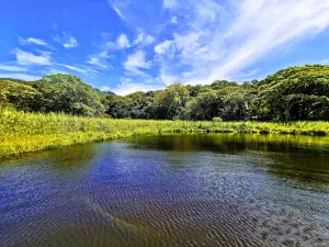 Laguna La Bruja