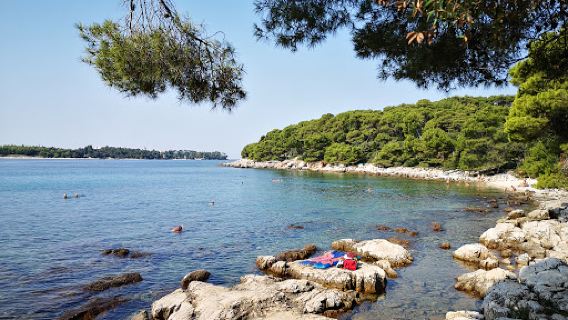 Lone bay