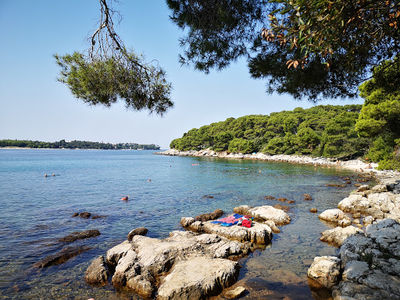 Lone bay