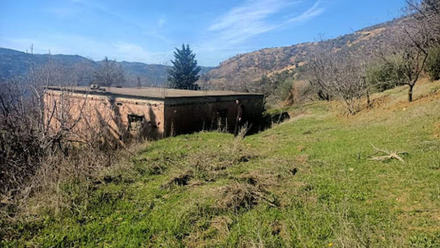 Stadium November 1, 1954