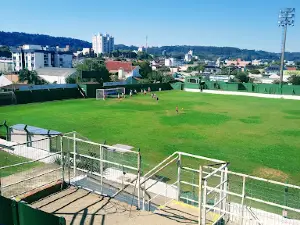 Stadium Eucalyptus