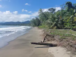 Parque Nacional Cahuita Sector Puerto Vargas