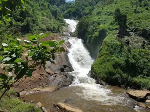 Bururi Forest Nature Reserve
