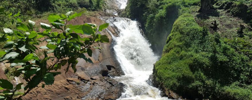 Bururi Forest Nature Reserve