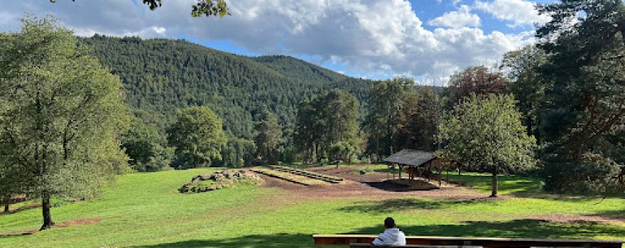 Südliche weinstraße wildlife park