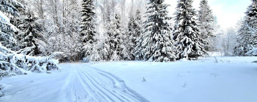 Ääsmäe Disc Golf Course