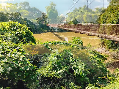 Hanging bridge