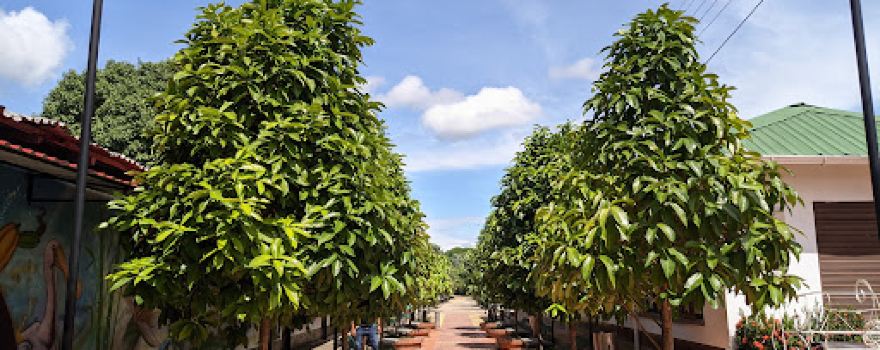 Monumento al Cacao Park