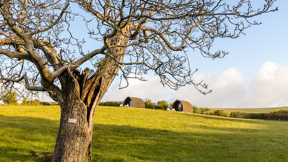 Housedean Farm Campsite