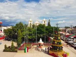 House of Culture