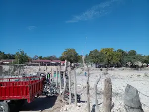 Municipal De Pedernales Park