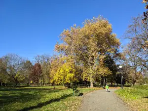 Park Barca