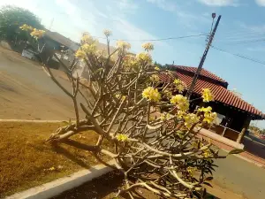Parque Beija Flor