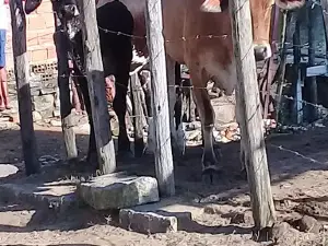 Conhecida como Praça do Amadeu