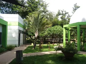 Parque Recreacional Pelinku