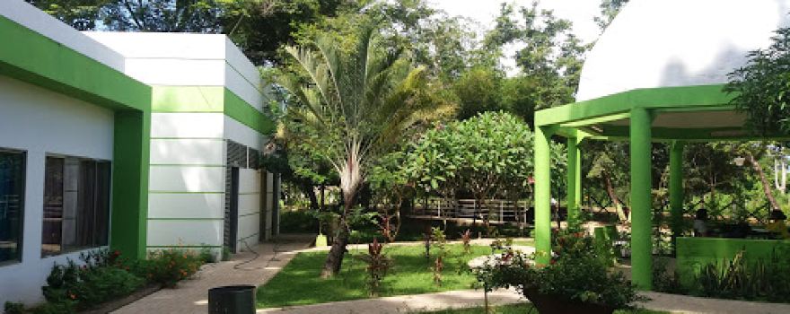 Parque Recreacional Pelinku