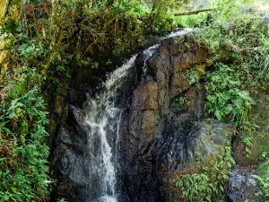 Baños Publicos Y Parque Infantil El Quiscamote