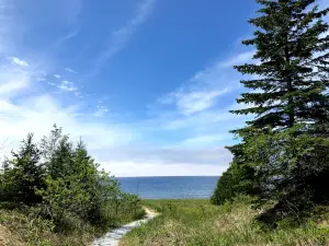 Sandy Beach