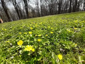 Park 40-Richchya Vyzvolennya Dnipra