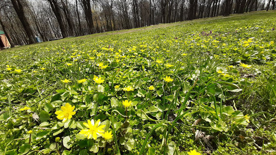 Park 40-Richchya Vyzvolennya Dnipra