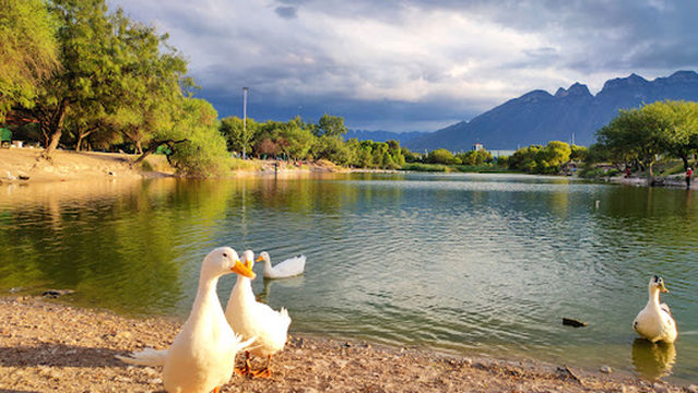 La Laguna Solidaridad