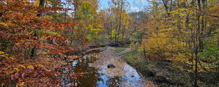 Amherst Beaver Creek Reservation