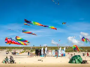 Strand Harlingen