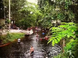 Jungle Camp