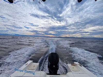 Sierpe-Fishing