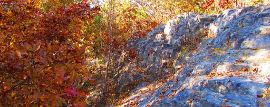 Chimney Rock Scientific and Natural Area
