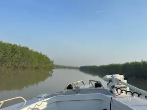 Darwin Barra Fishing Tours