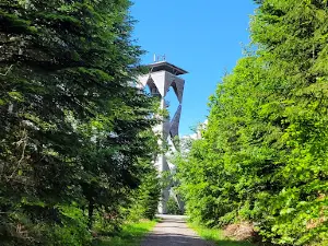 Altenbergturm